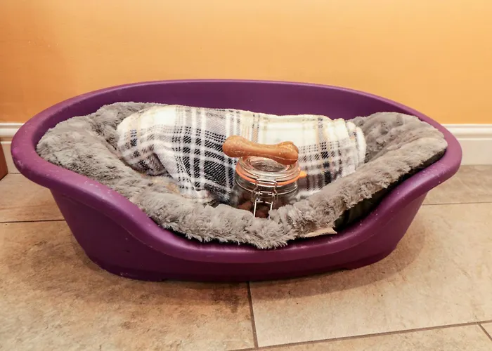 50 West Street Edelweiss *